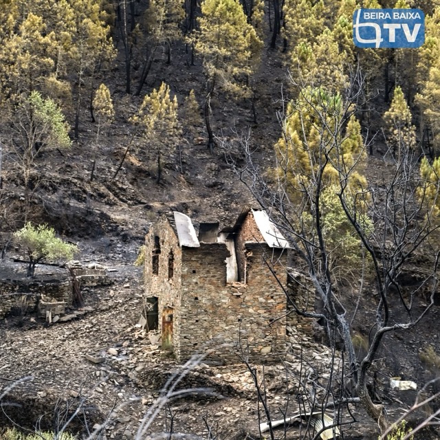 Volunteers working together